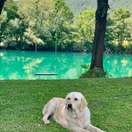 Dom wakacyjny Vikendica Mimiena *