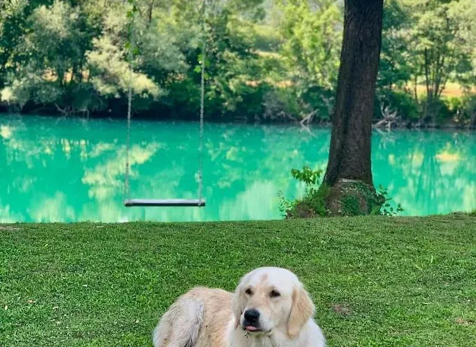 度假居 Vikendica Mimiena *