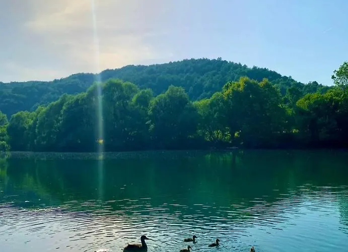 Vikendica Mimiena Nyaraló Račić